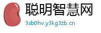 聪明智慧网